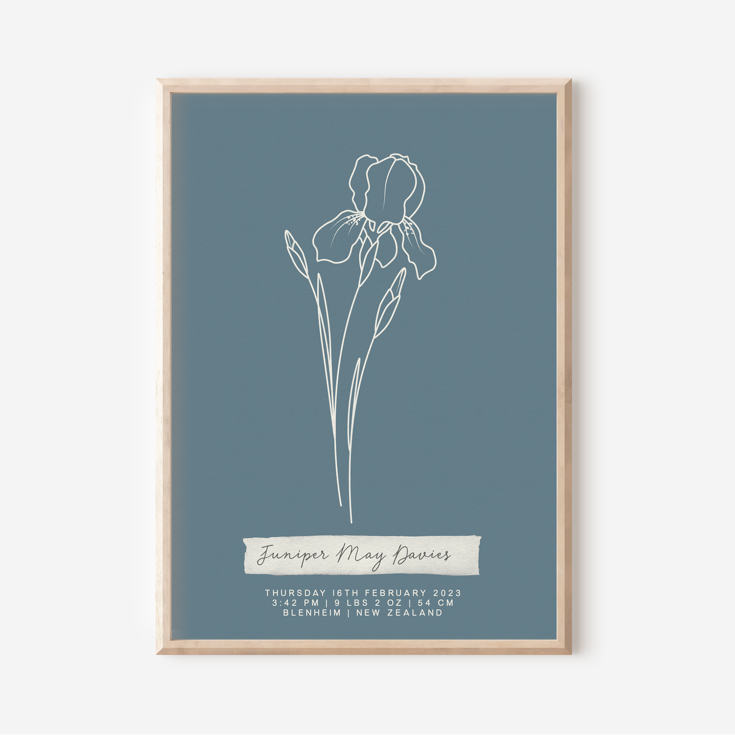 FEBRUARY Iris - Botanical Birth Month Keepsake Print