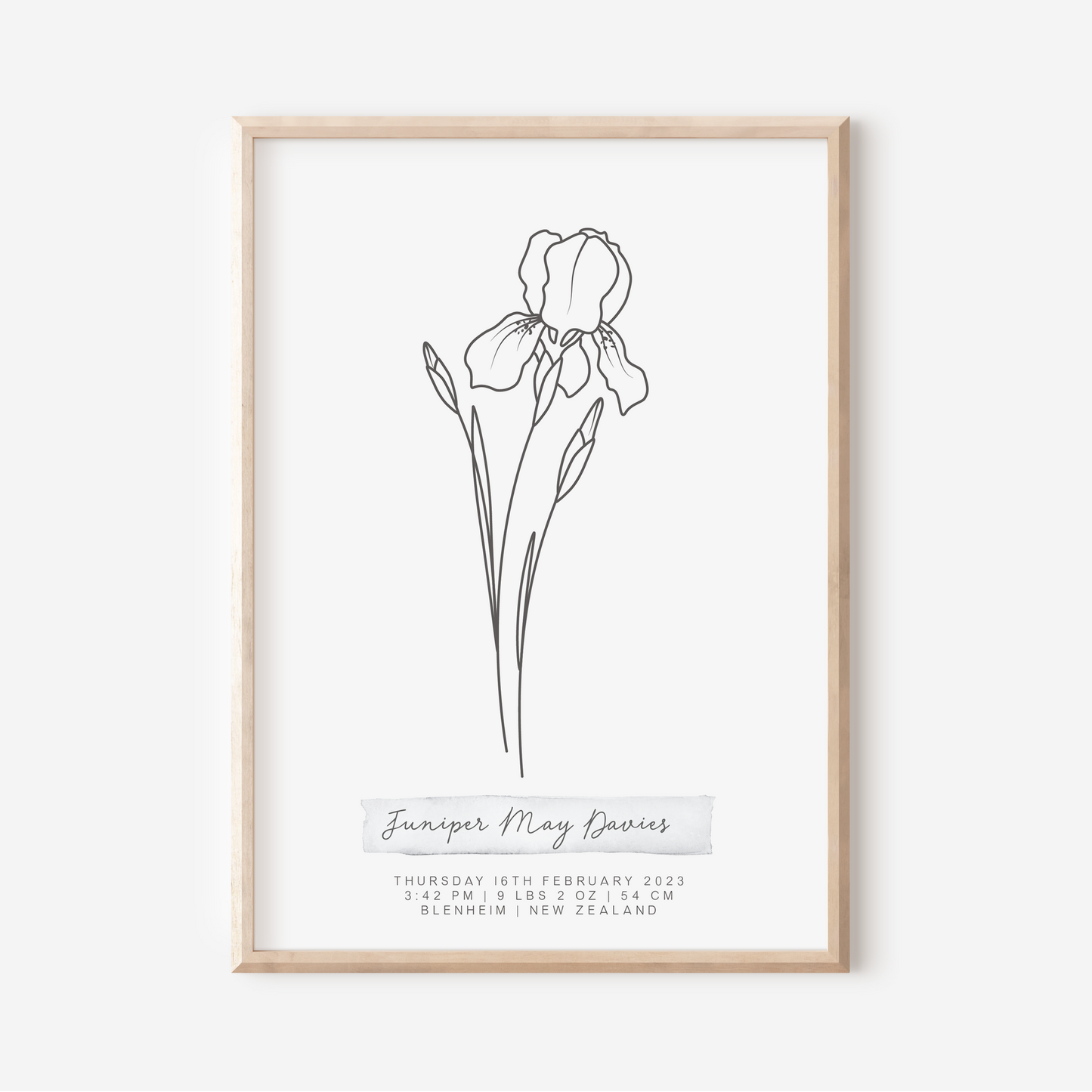 FEBRUARY Iris - Botanical Birth Month Keepsake Print