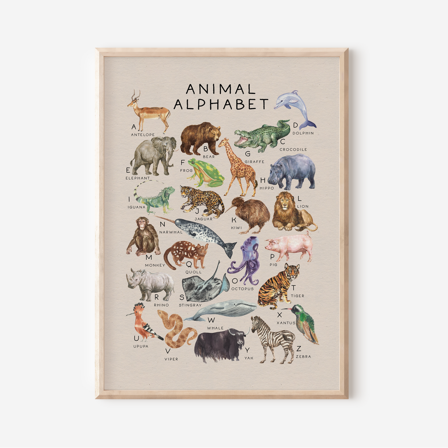 Animal Alphabet | Art Print