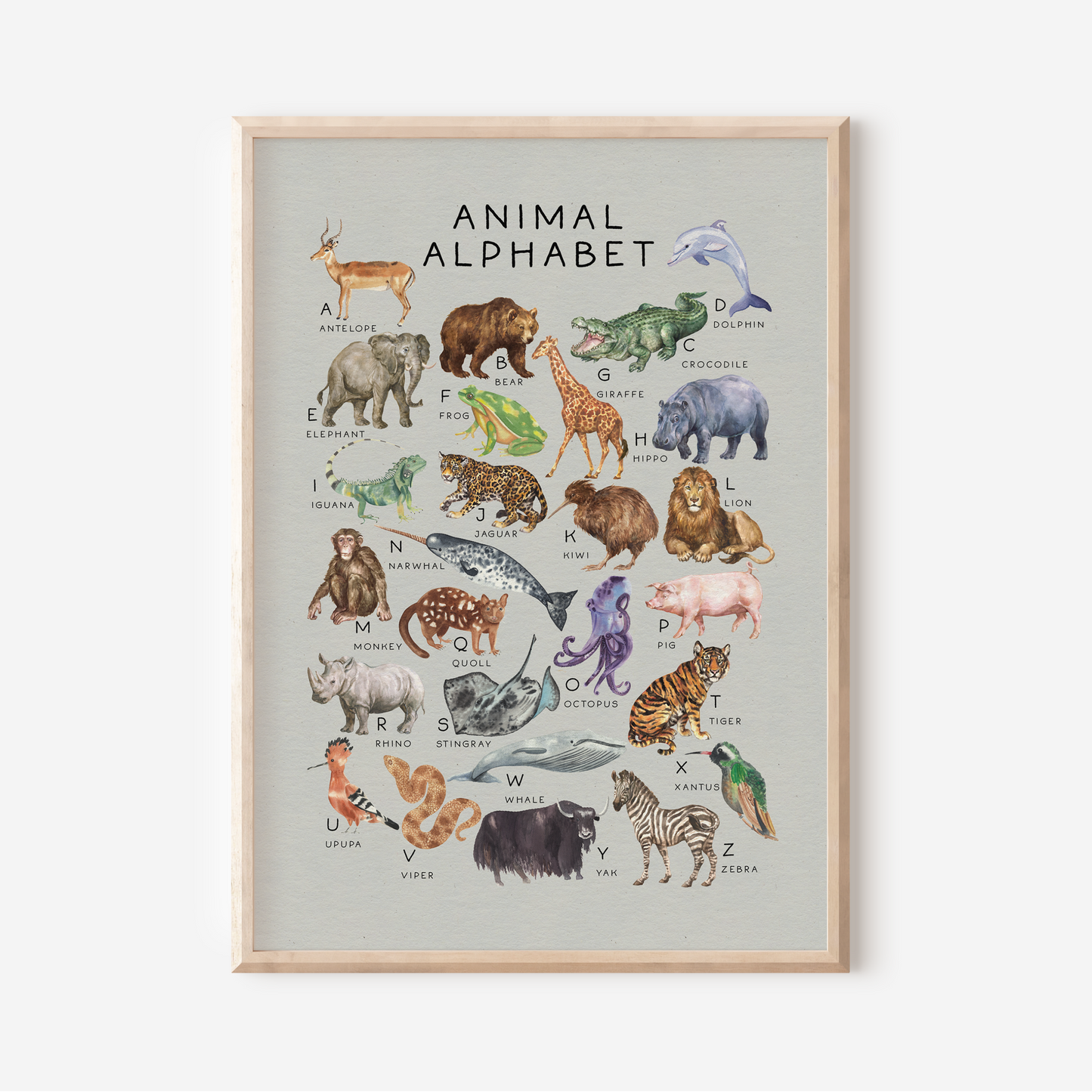 Animal Alphabet | Art Print