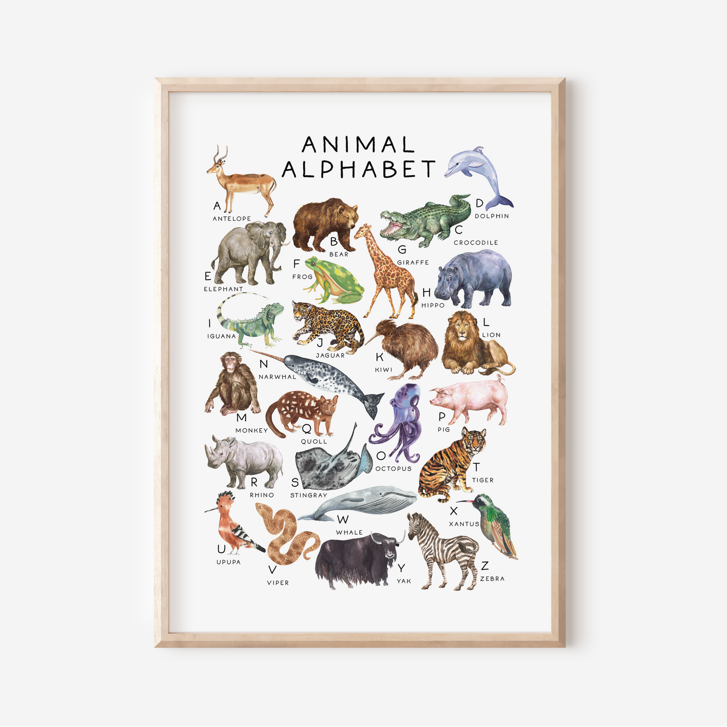 Animal Alphabet | Art Print