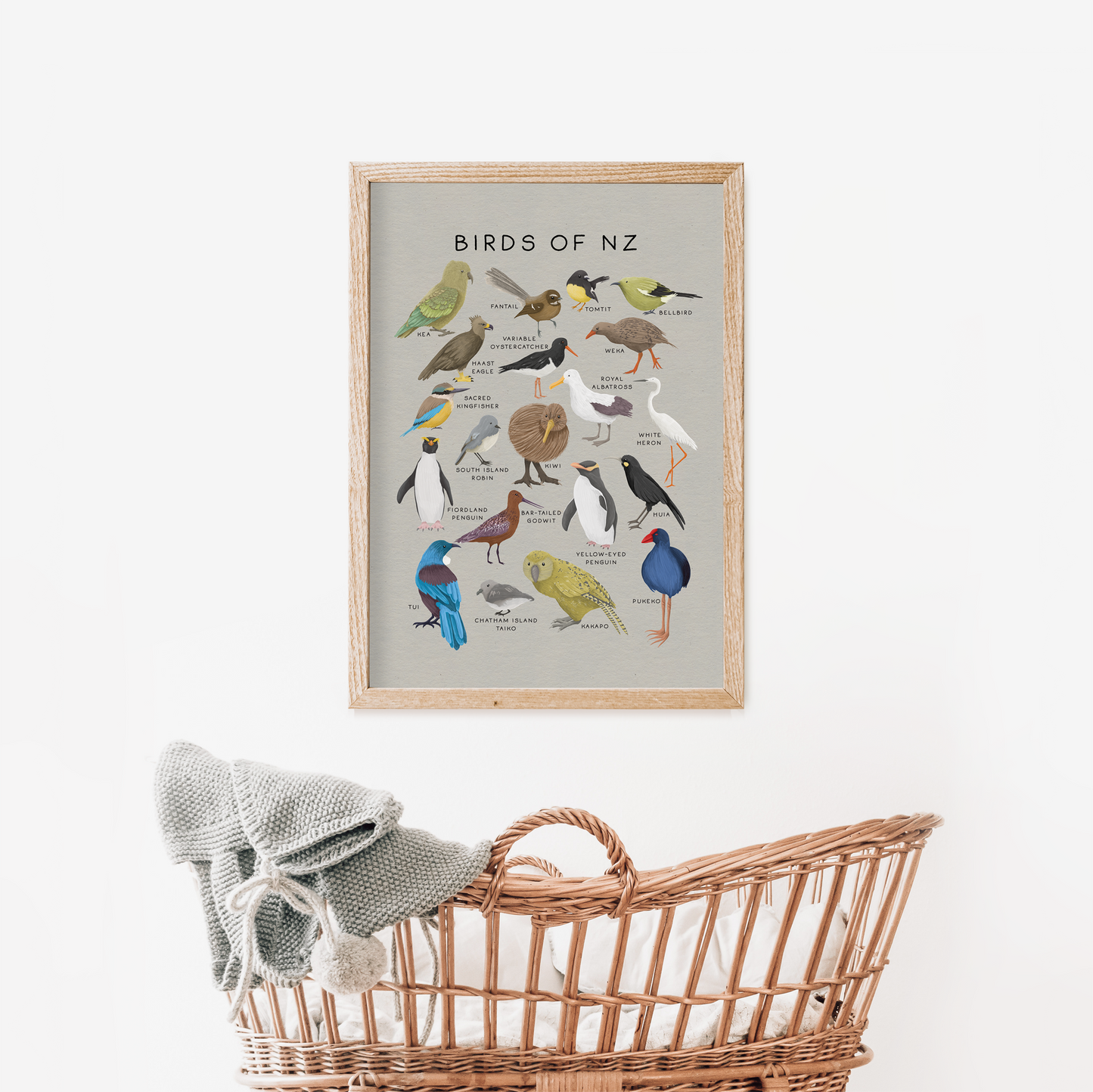 Birds of New Zealand | Art Print