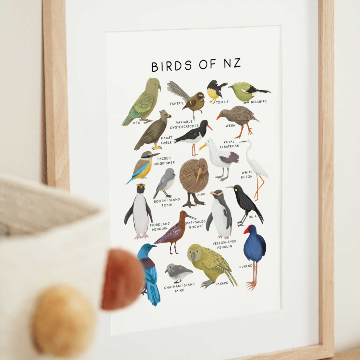 Birds of New Zealand | Art Print