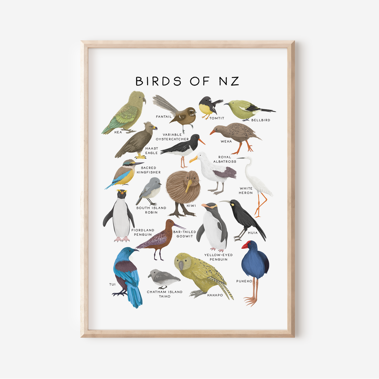 Birds of New Zealand | Art Print