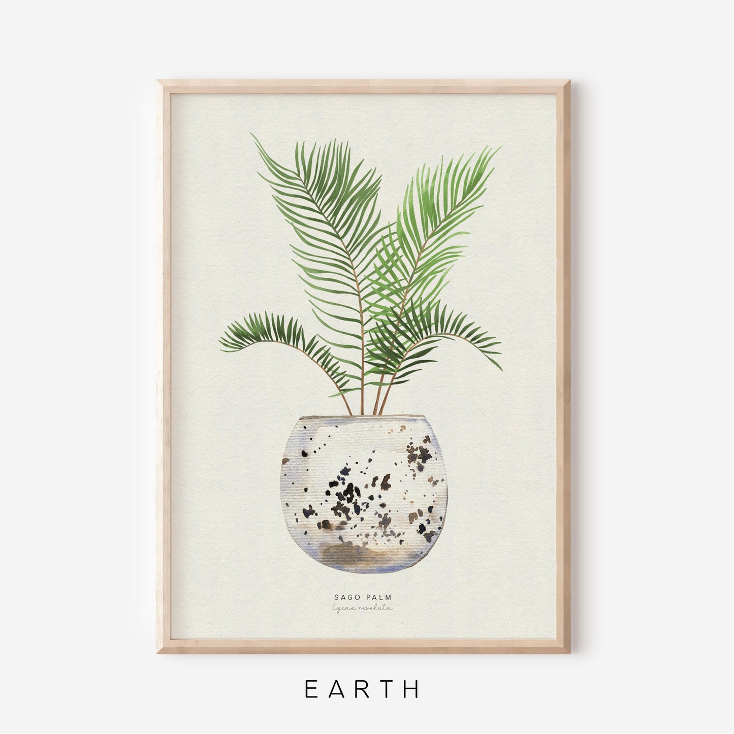 Houseplants - Sago Palm | Art Print