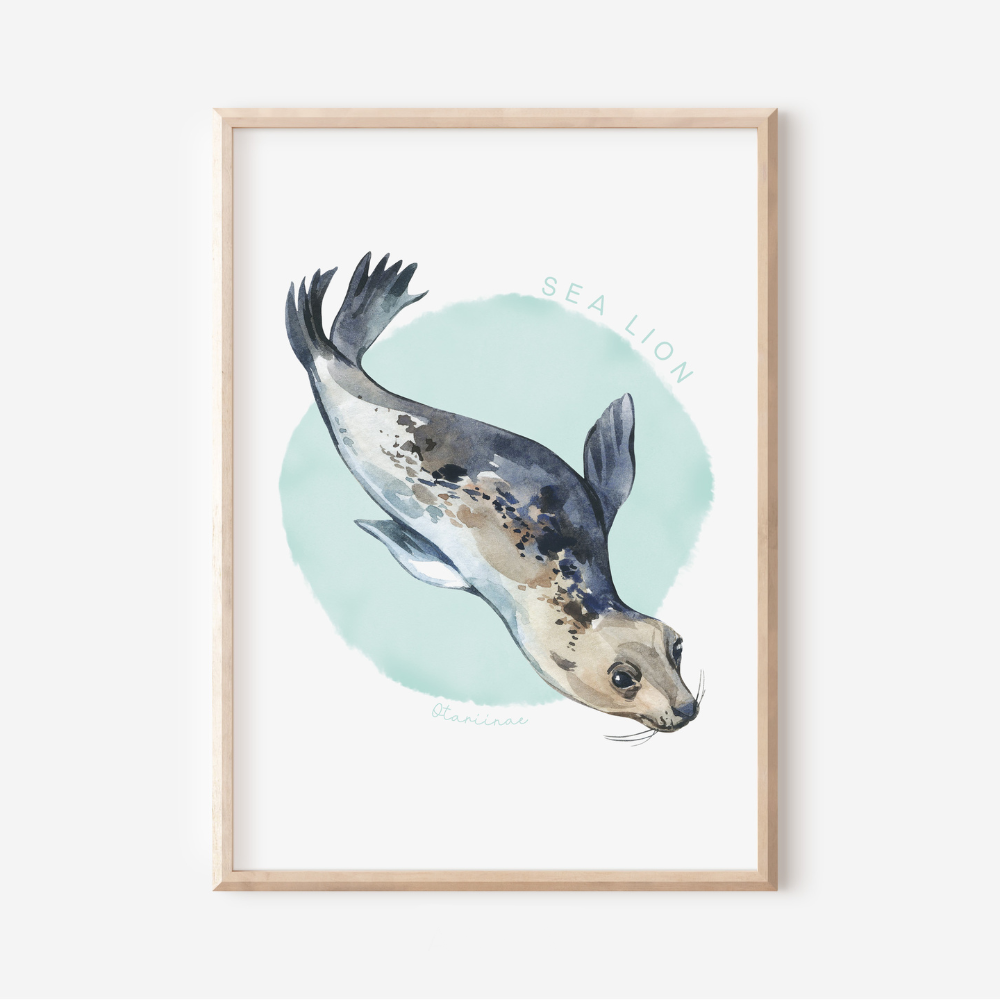 Ocean Life - Sea Lion | Art Print