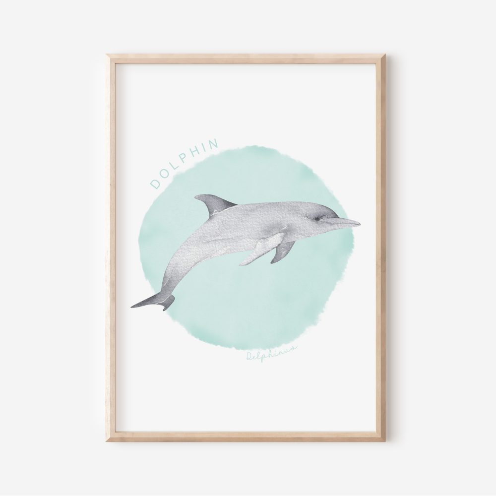 Ocean Life - Dolphin | Art Print