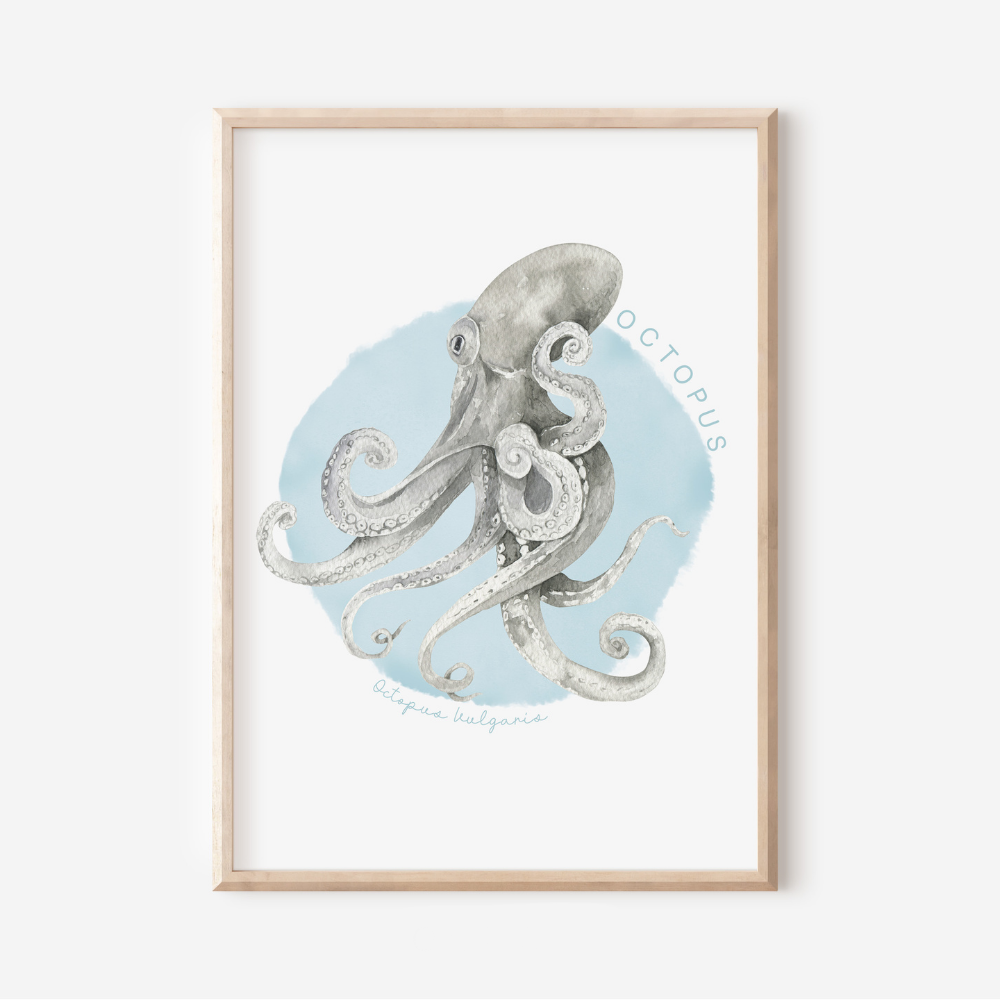 Ocean Life - Octopus | Art Print