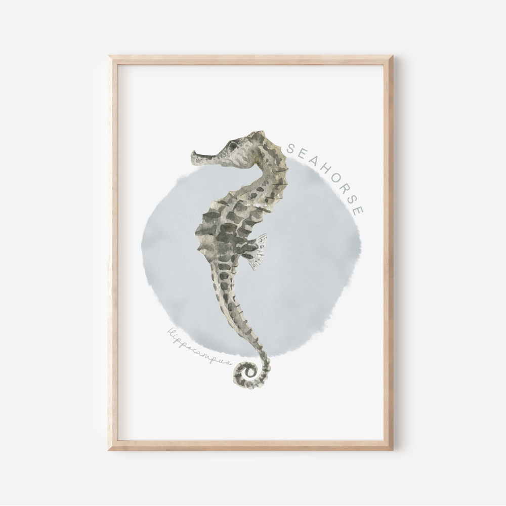 Ocean Life - Seahorse | Art Print