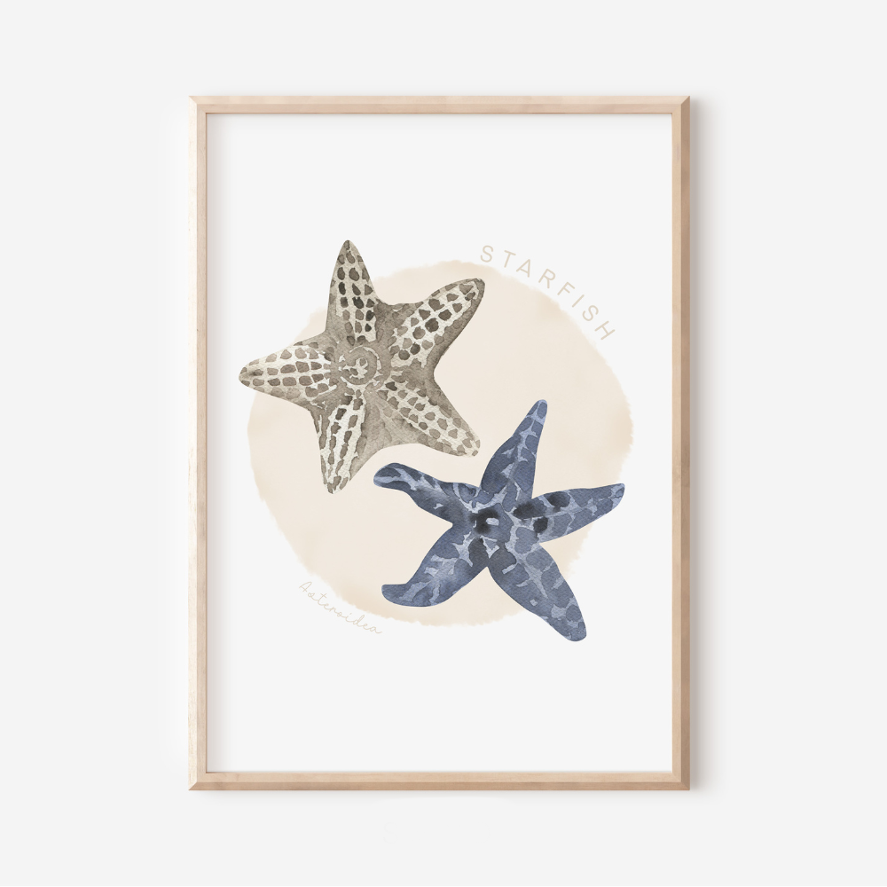 Ocean Life - Starfish | Art Print