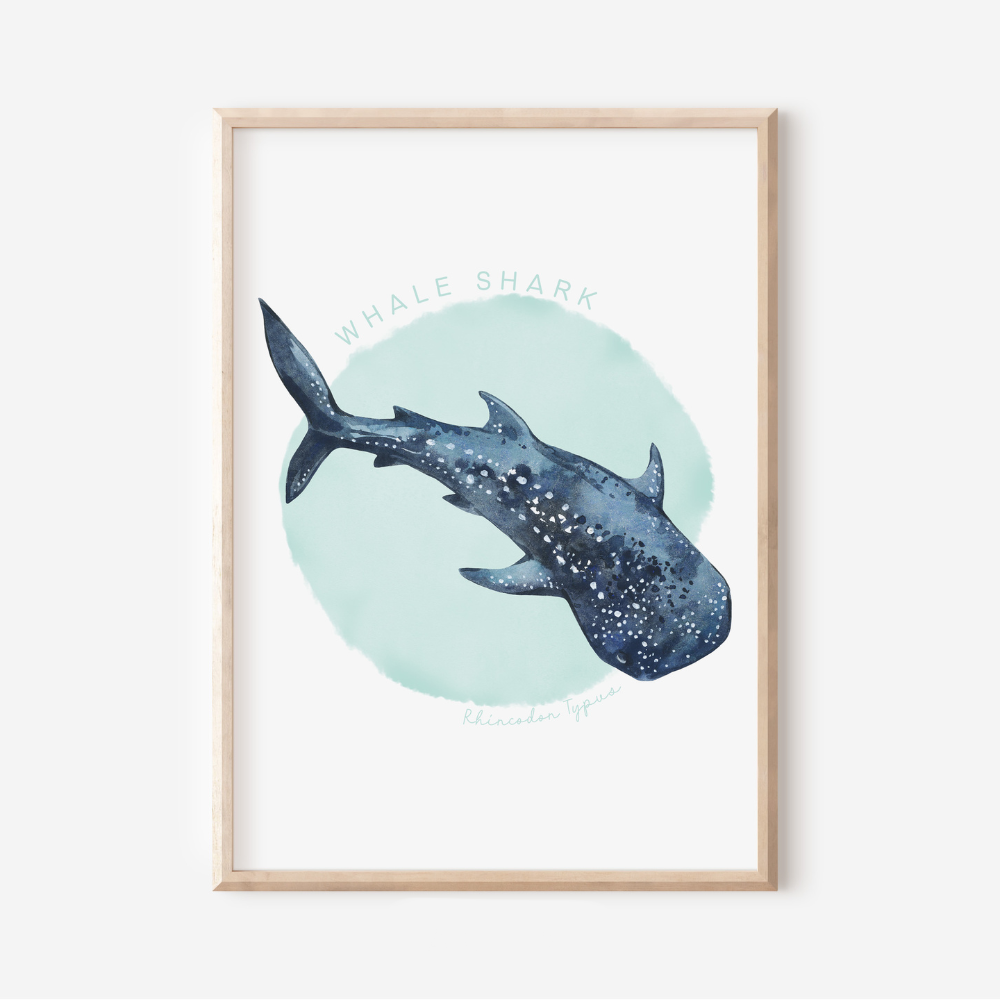 Ocean Life - Whale Shark | Art Print