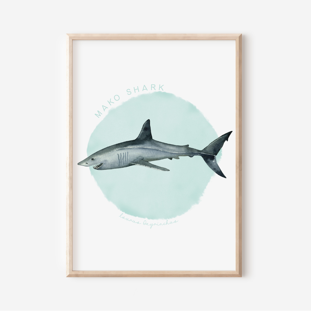 Ocean Life - Mako Shark | Art Print