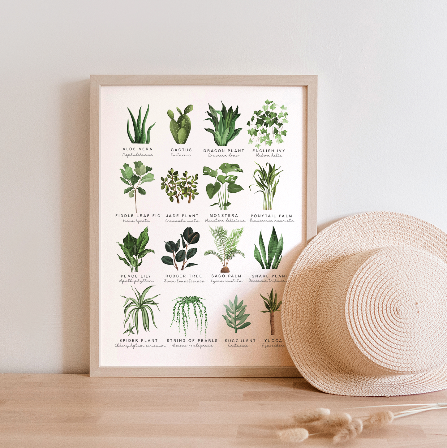 Houseplants | Art Print