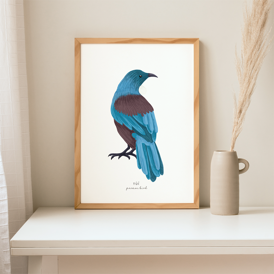 New Zealand Bird - Tui | Art Print