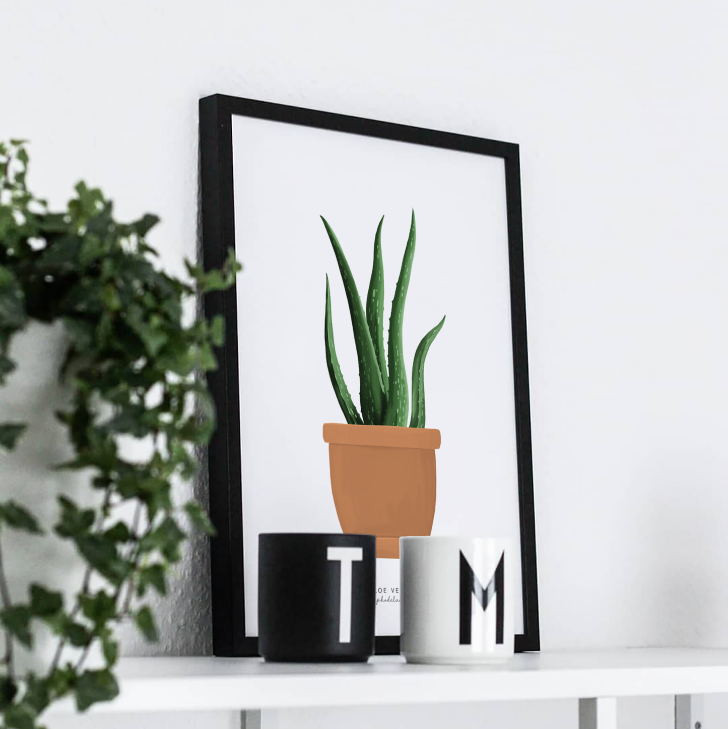 Houseplants - Aloe Vera | Art Print