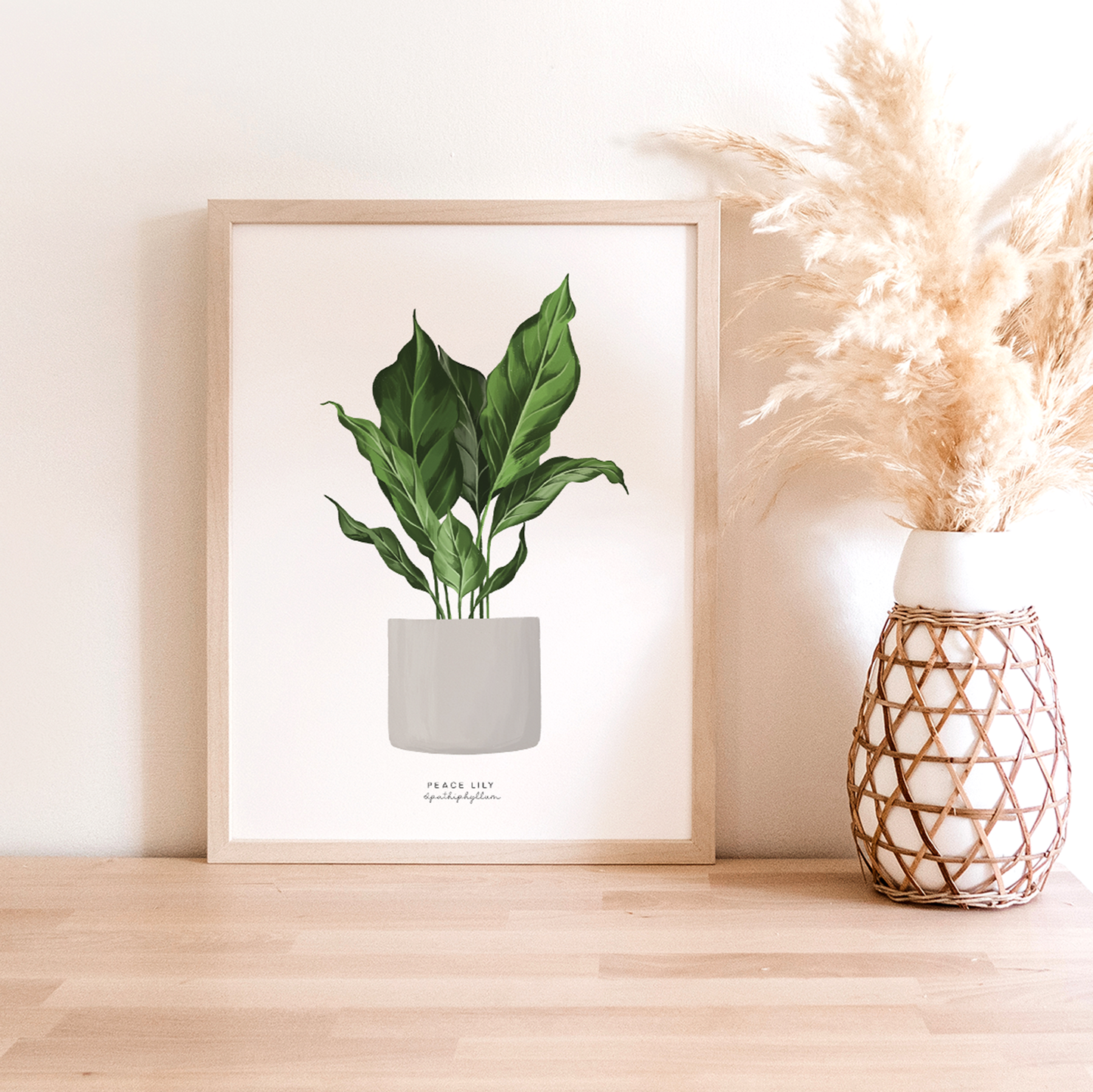 Houseplants - Peace Lily | Art Print