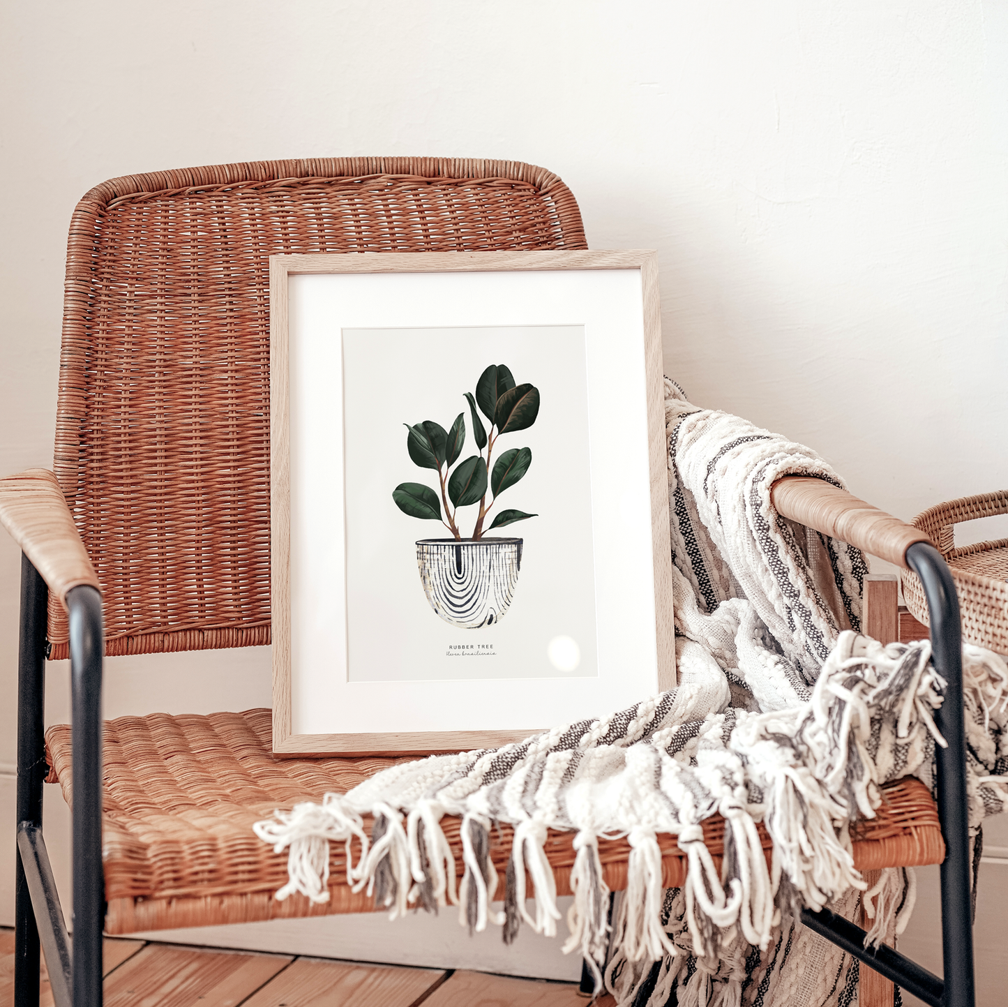 Houseplants - Rubber Tree | Art Print