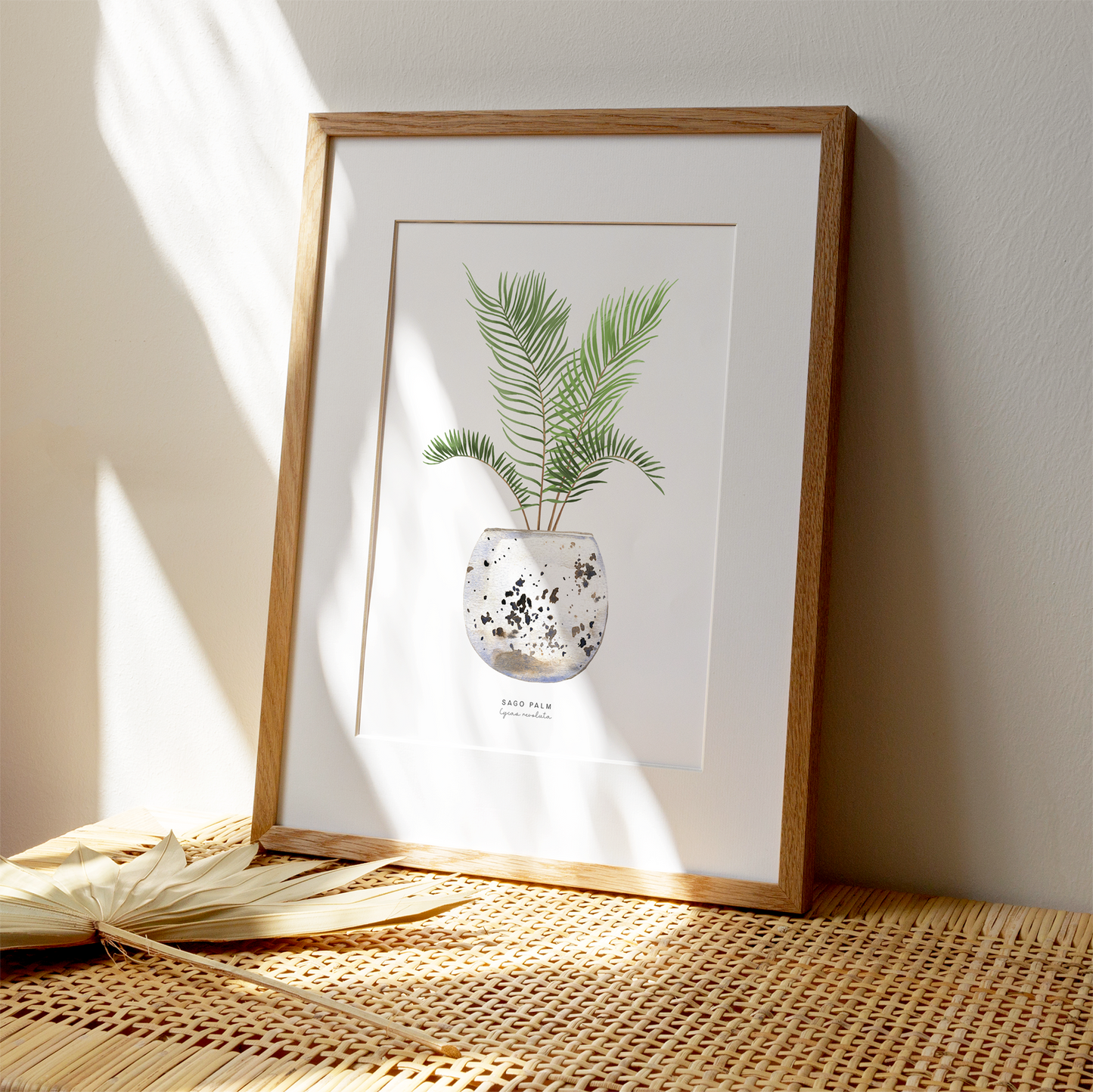 Houseplants - Sago Palm | Art Print