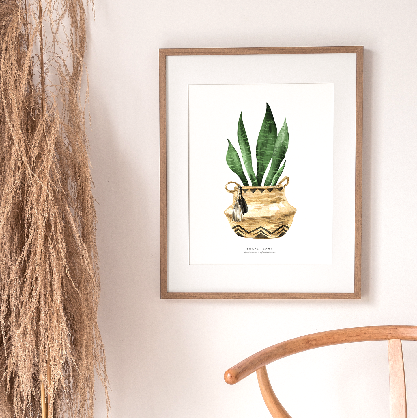 Houseplants - Snake Plant | Art Print