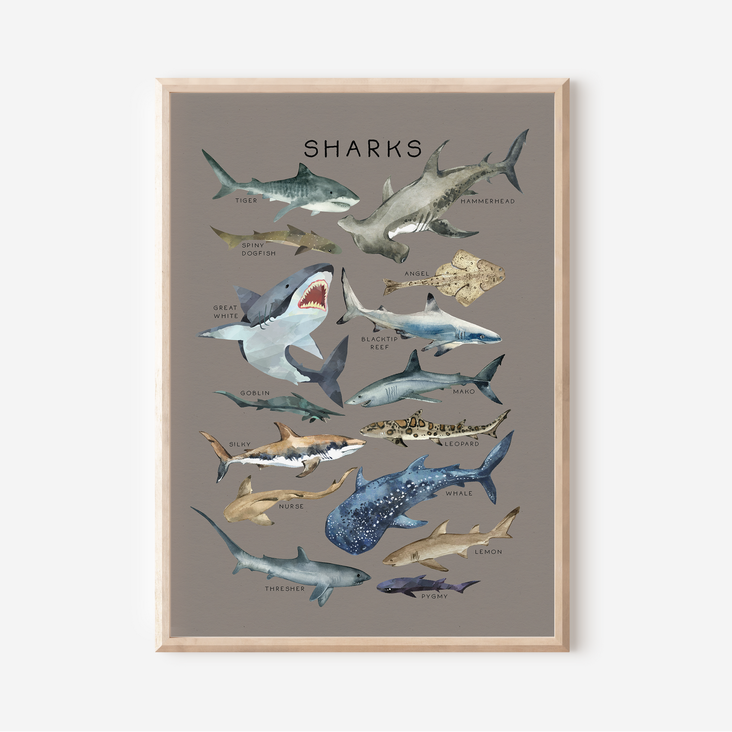 Sharks | Art Print