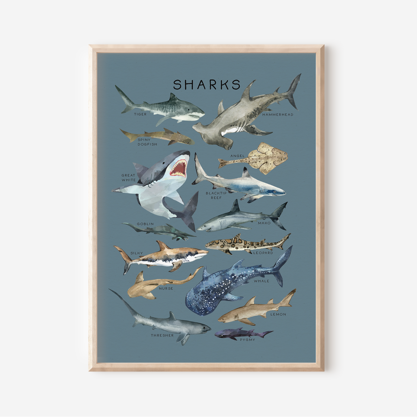 Sharks | Art Print