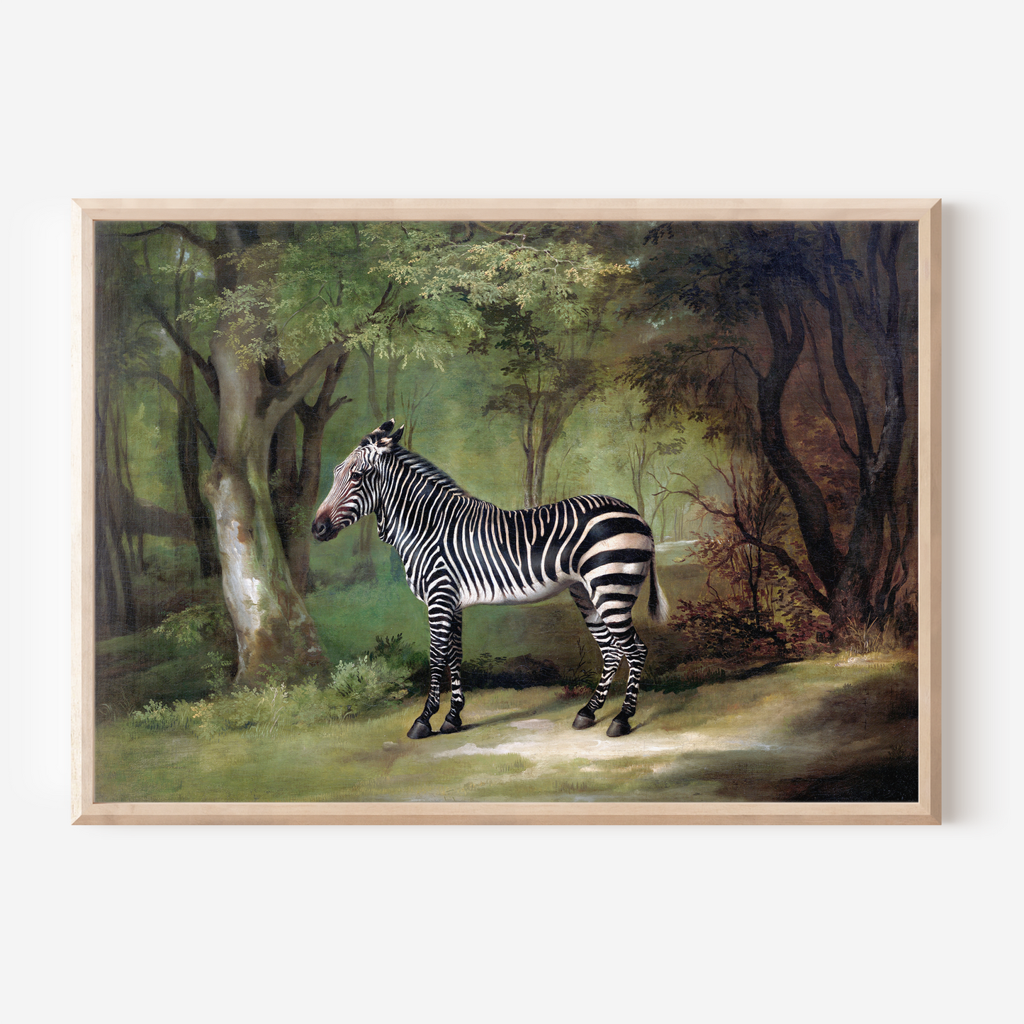 Zebra | George Stubbs | Art Print
