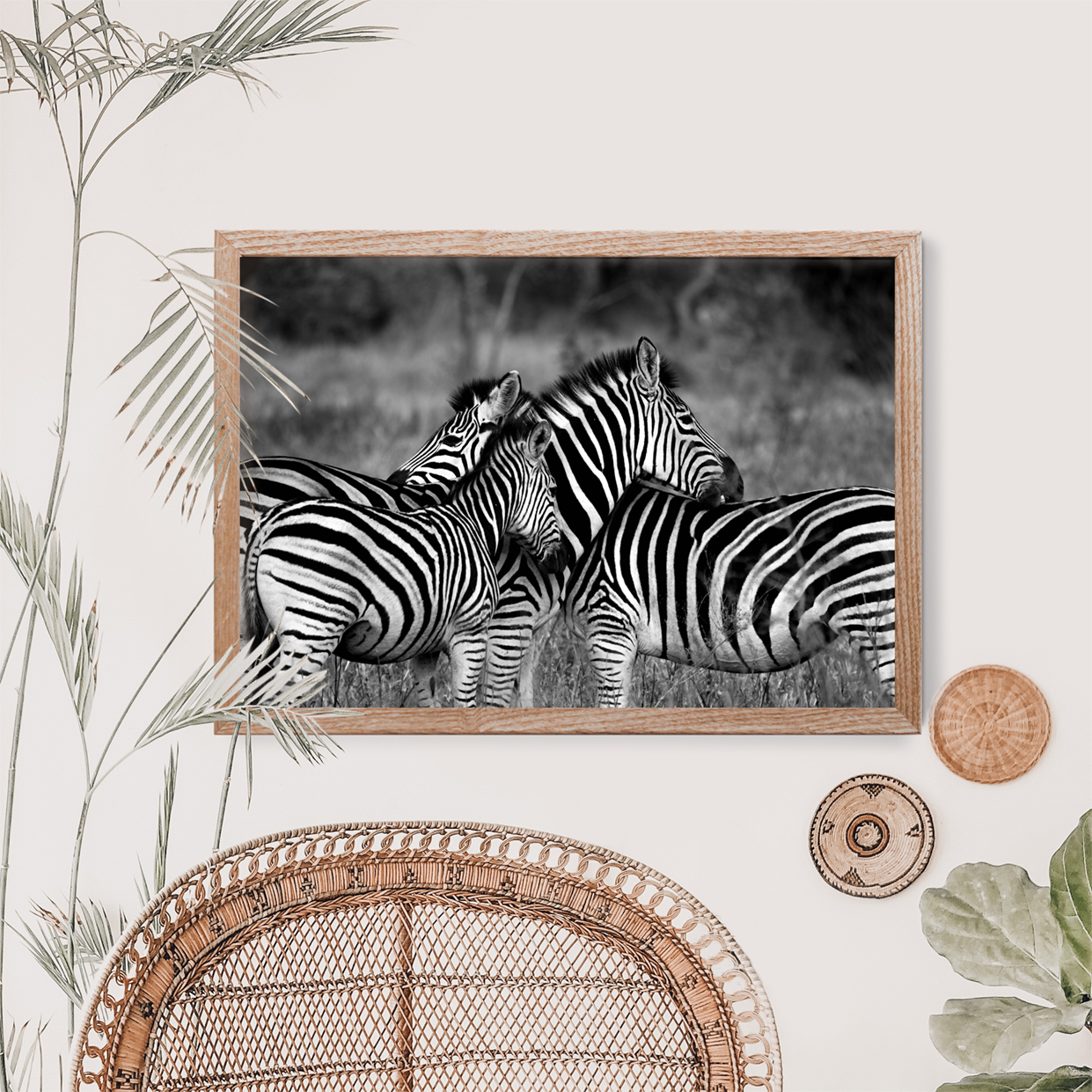 Zebra Family | Photography Art Print