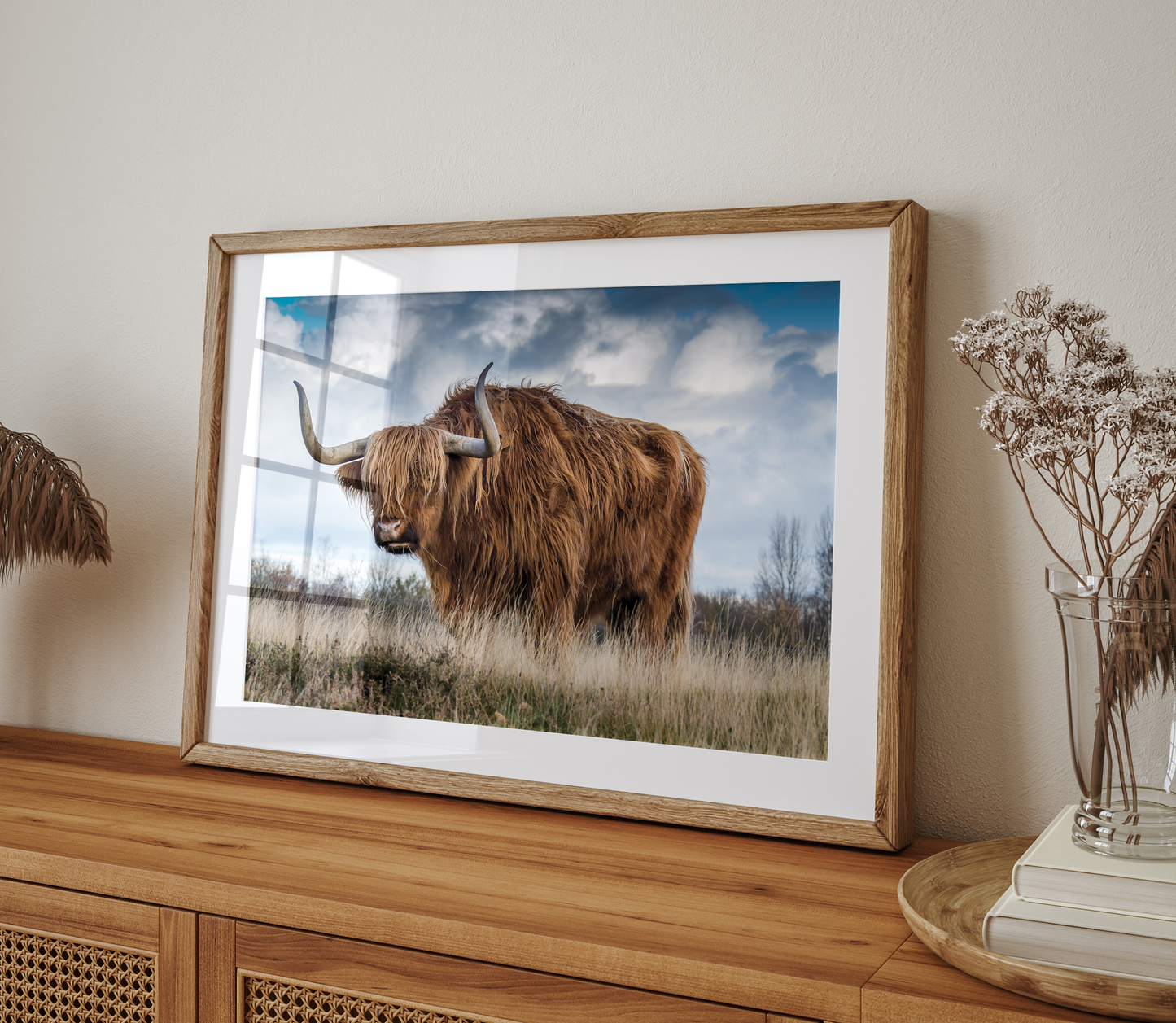 Highland Cow No2 | Photography Art Print