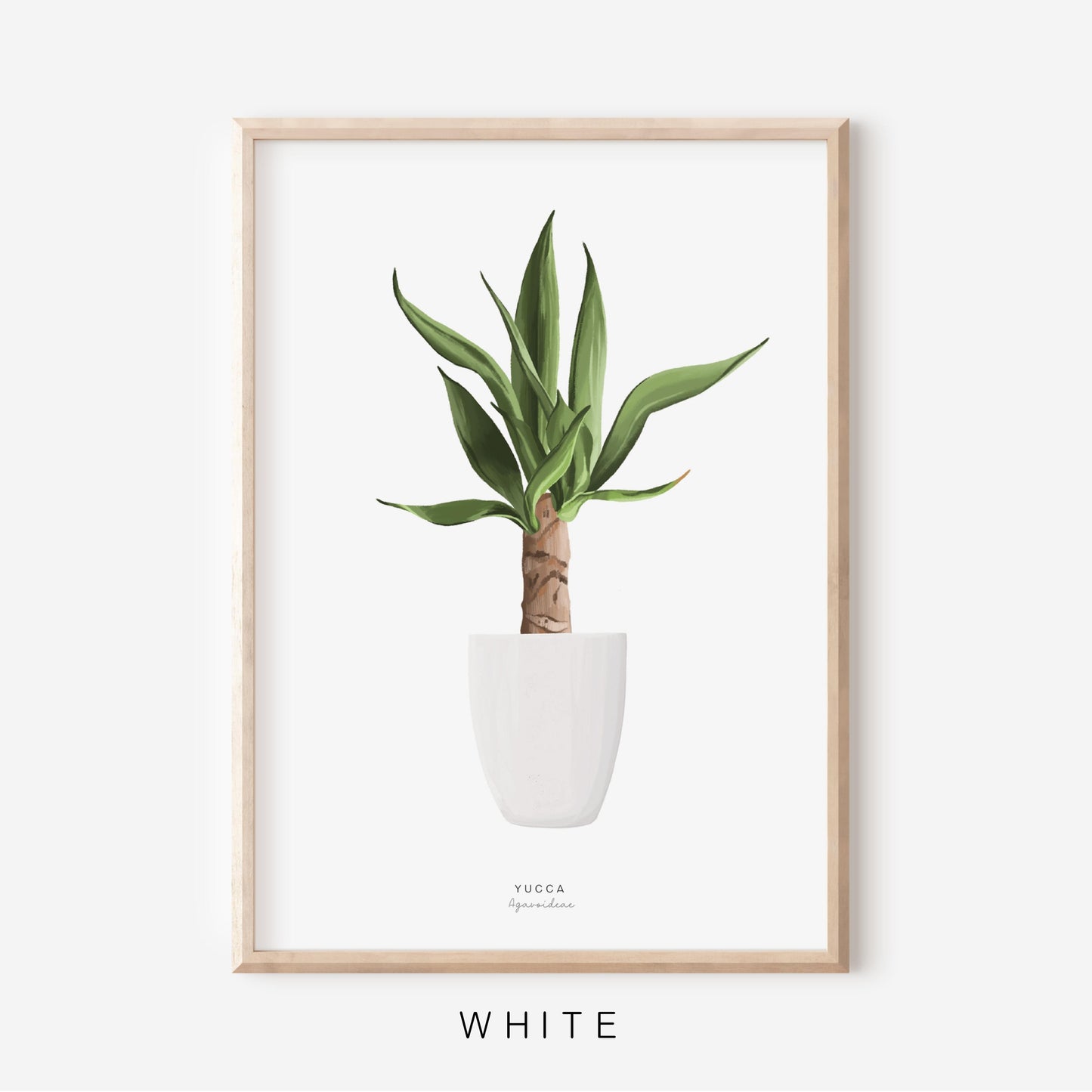 Houseplants - Yucca Tree | Art Print