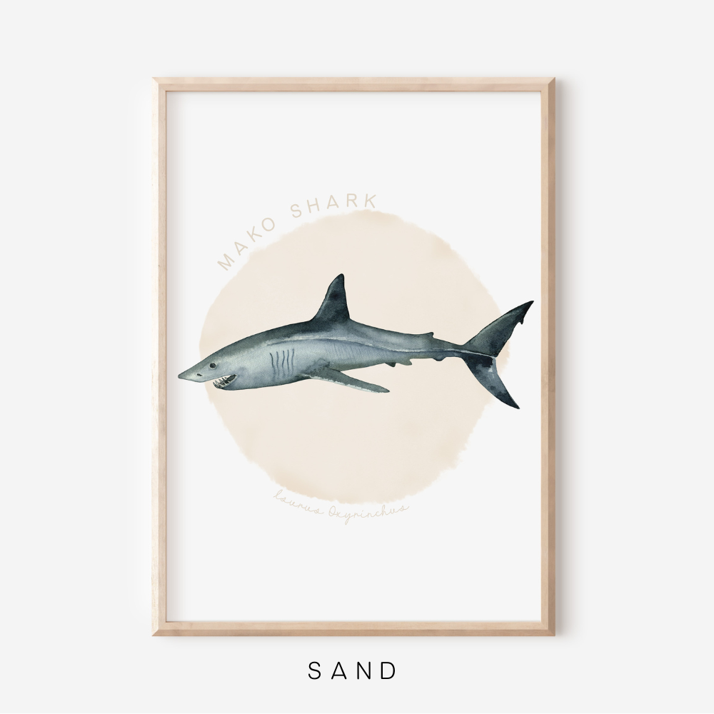 Ocean Life - Mako Shark | Art Print