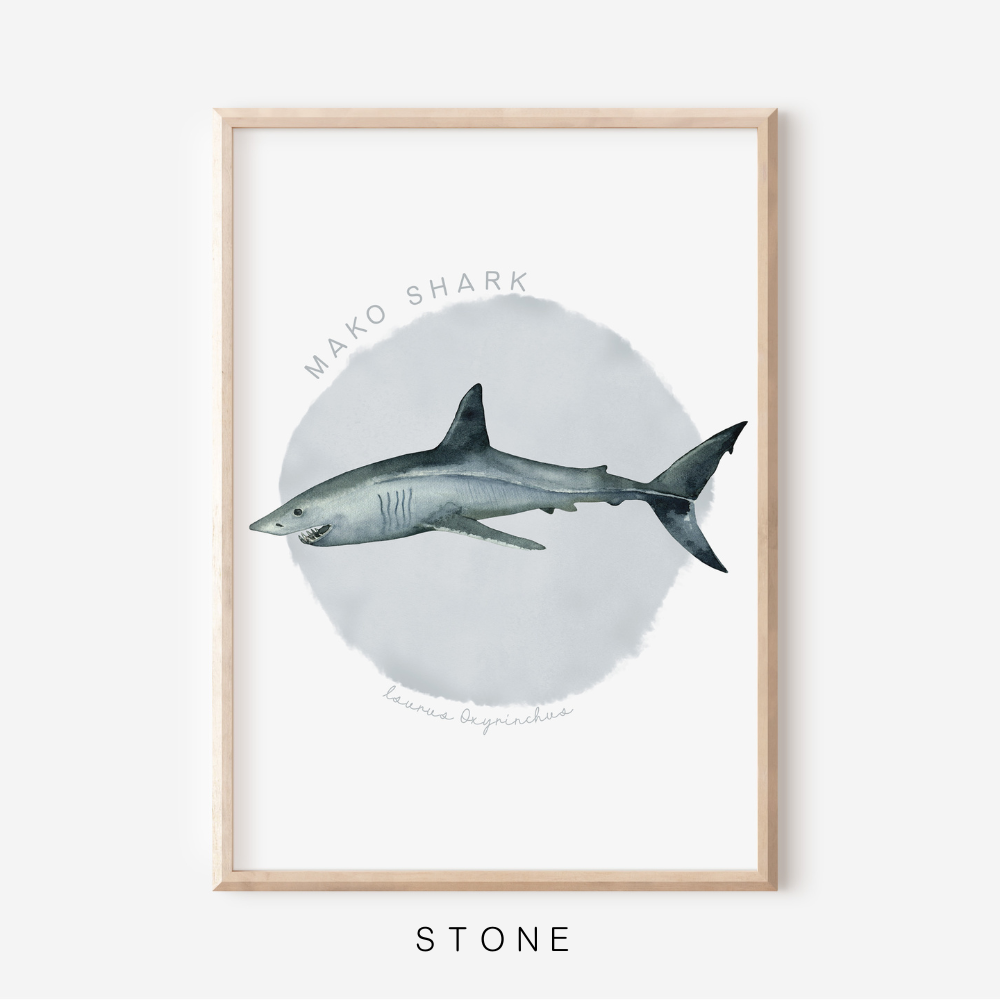 Ocean Life - Mako Shark | Art Print
