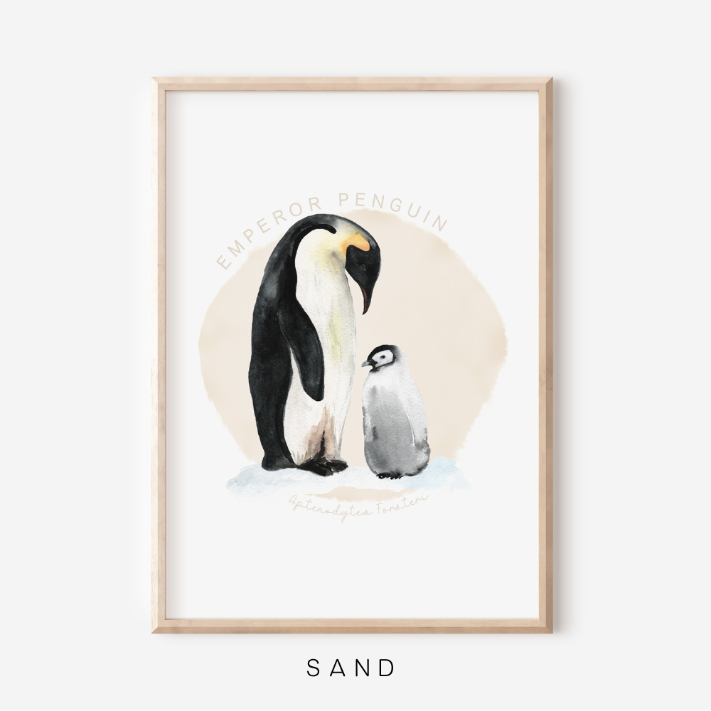 Ocean Life - Emperor Penguin | Art Print