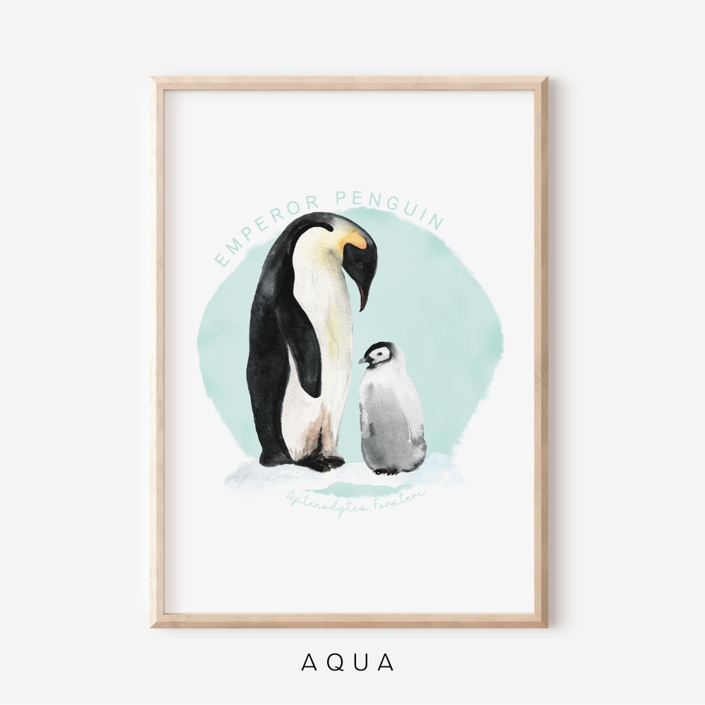 Ocean Life - Emperor Penguin | Art Print