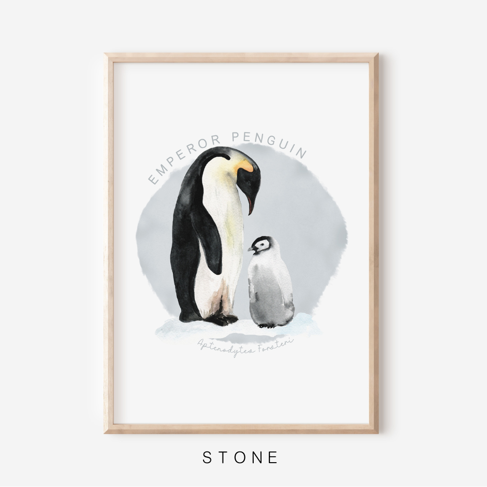 Ocean Life - Emperor Penguin | Art Print