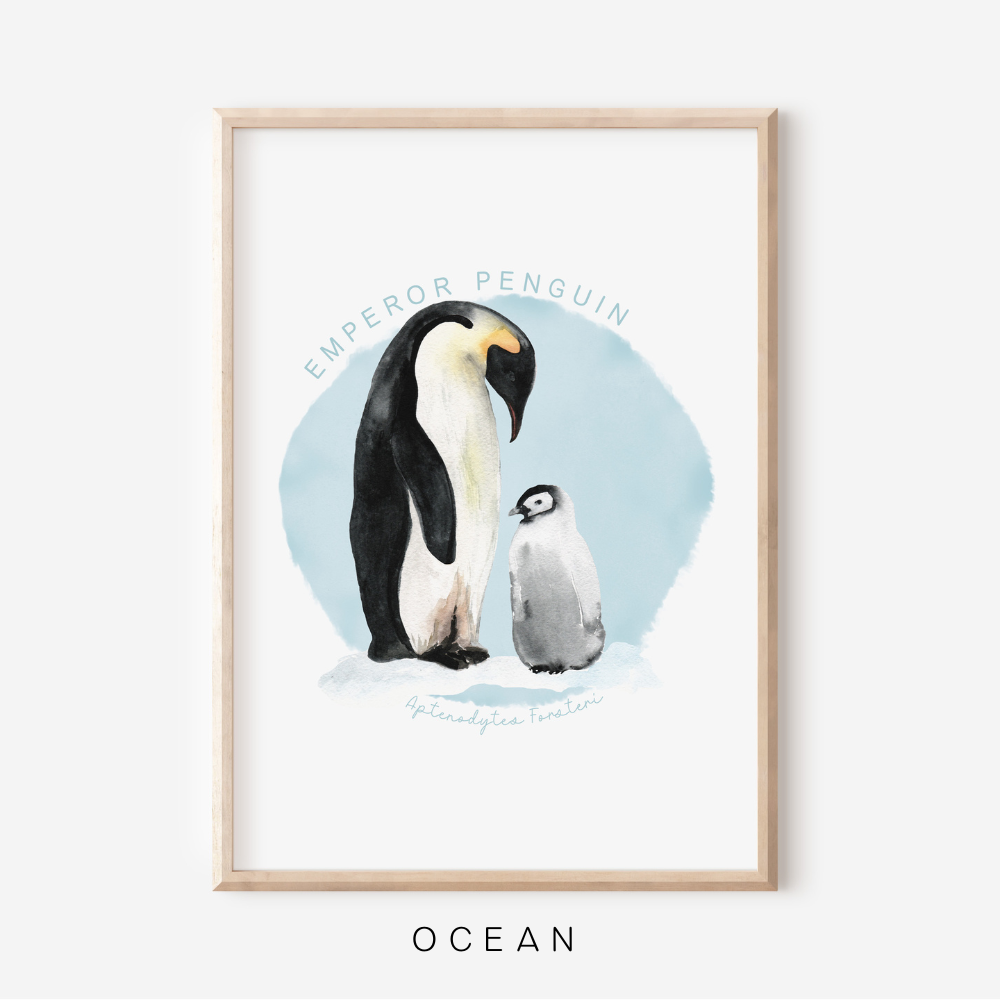 Ocean Life - Emperor Penguin | Art Print