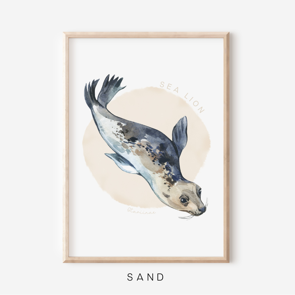 Ocean Life - Sea Lion | Art Print