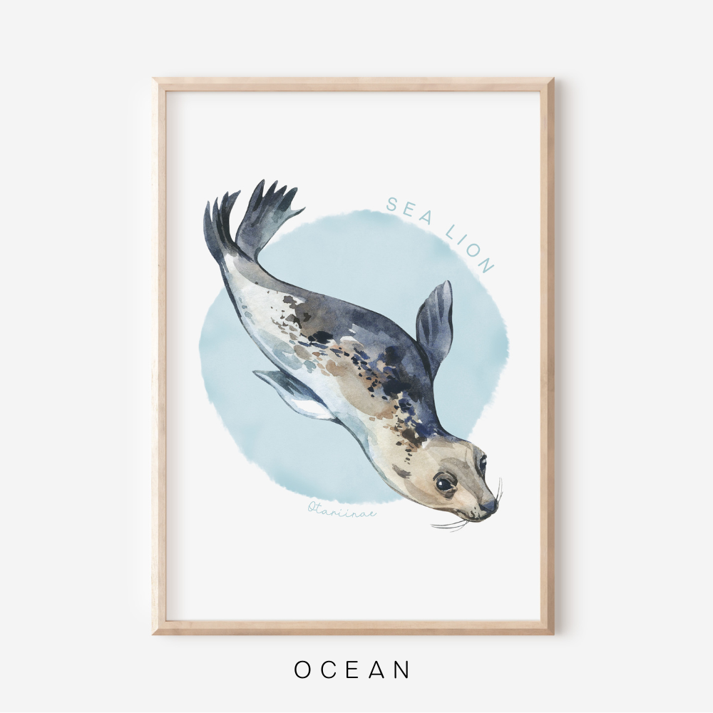 Ocean Life - Sea Lion | Art Print