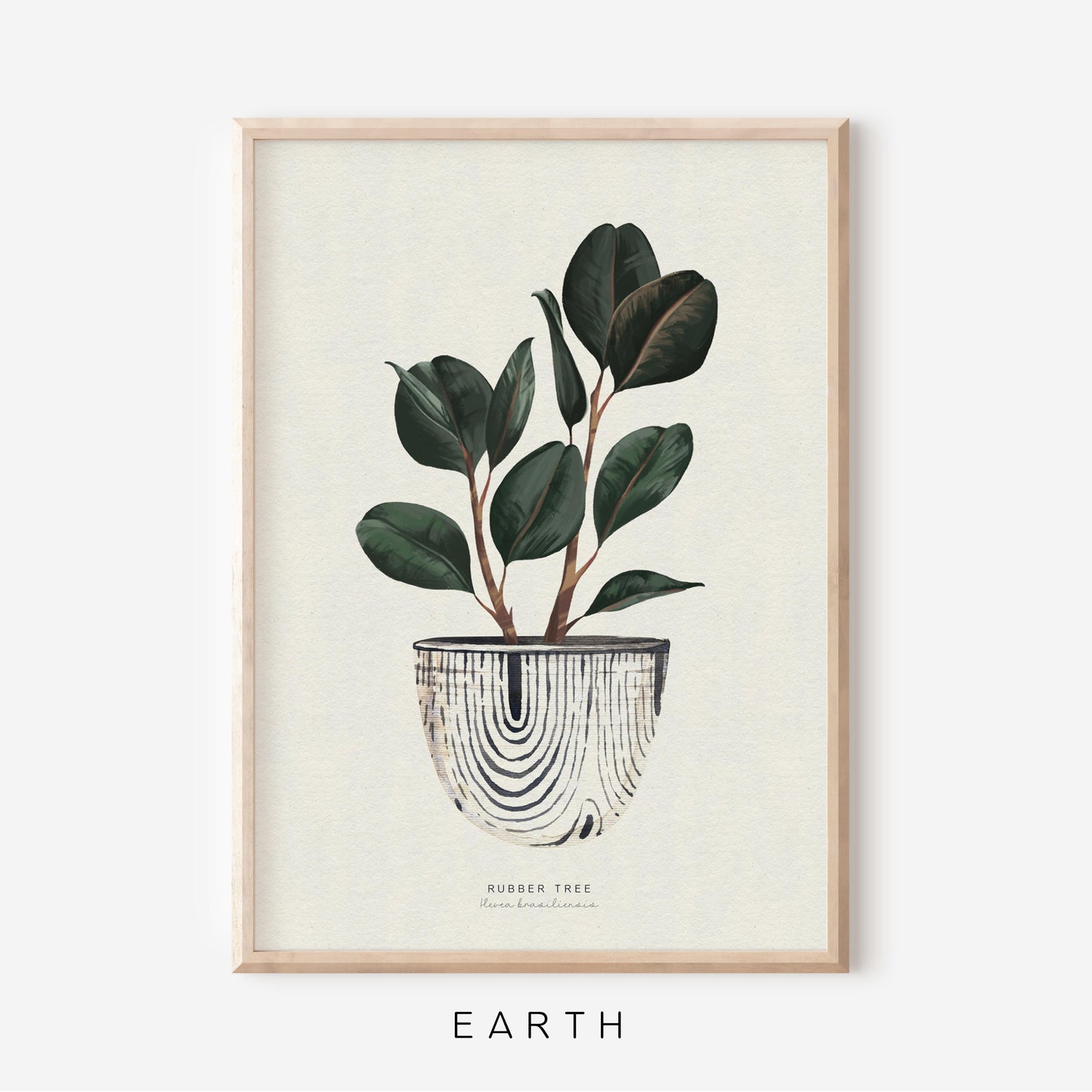 Houseplants - Rubber Tree | Art Print