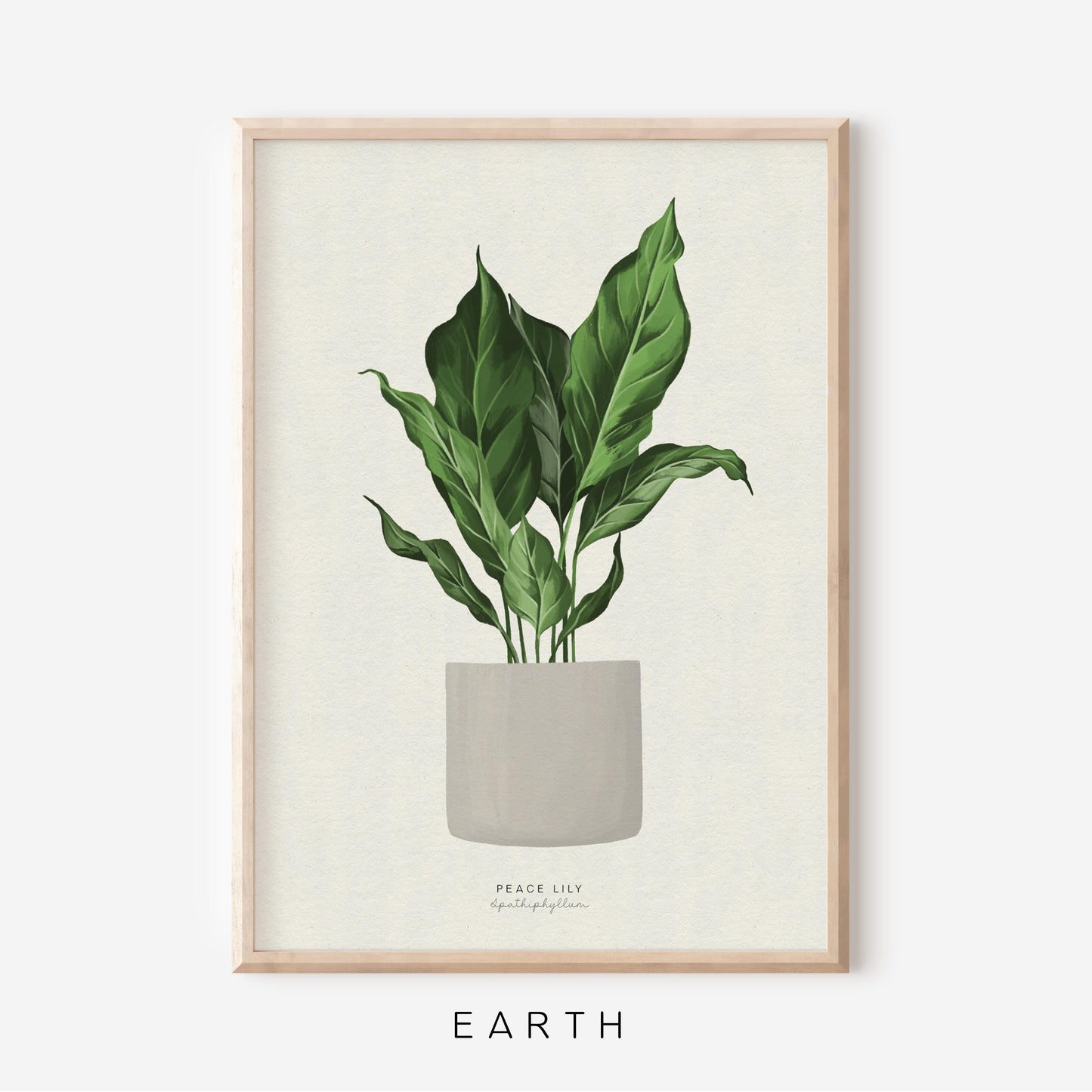 Houseplants - Peace Lily | Art Print