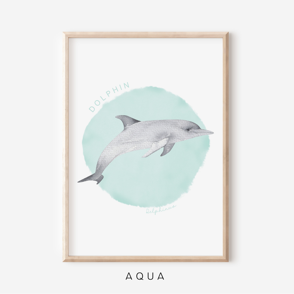 Ocean Life - Dolphin | Art Print