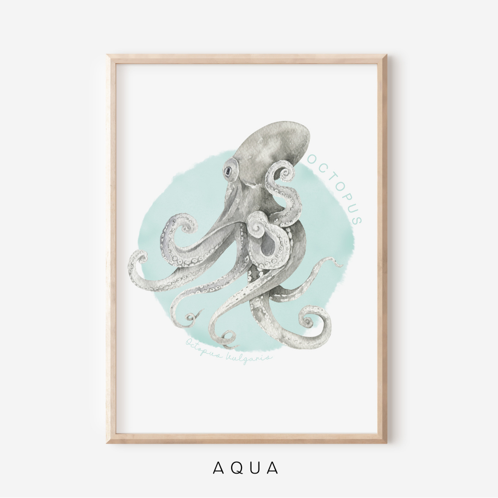 Ocean Life - Octopus | Art Print