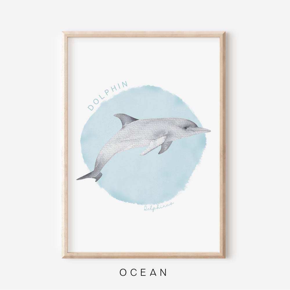 Ocean Life - Dolphin | Art Print