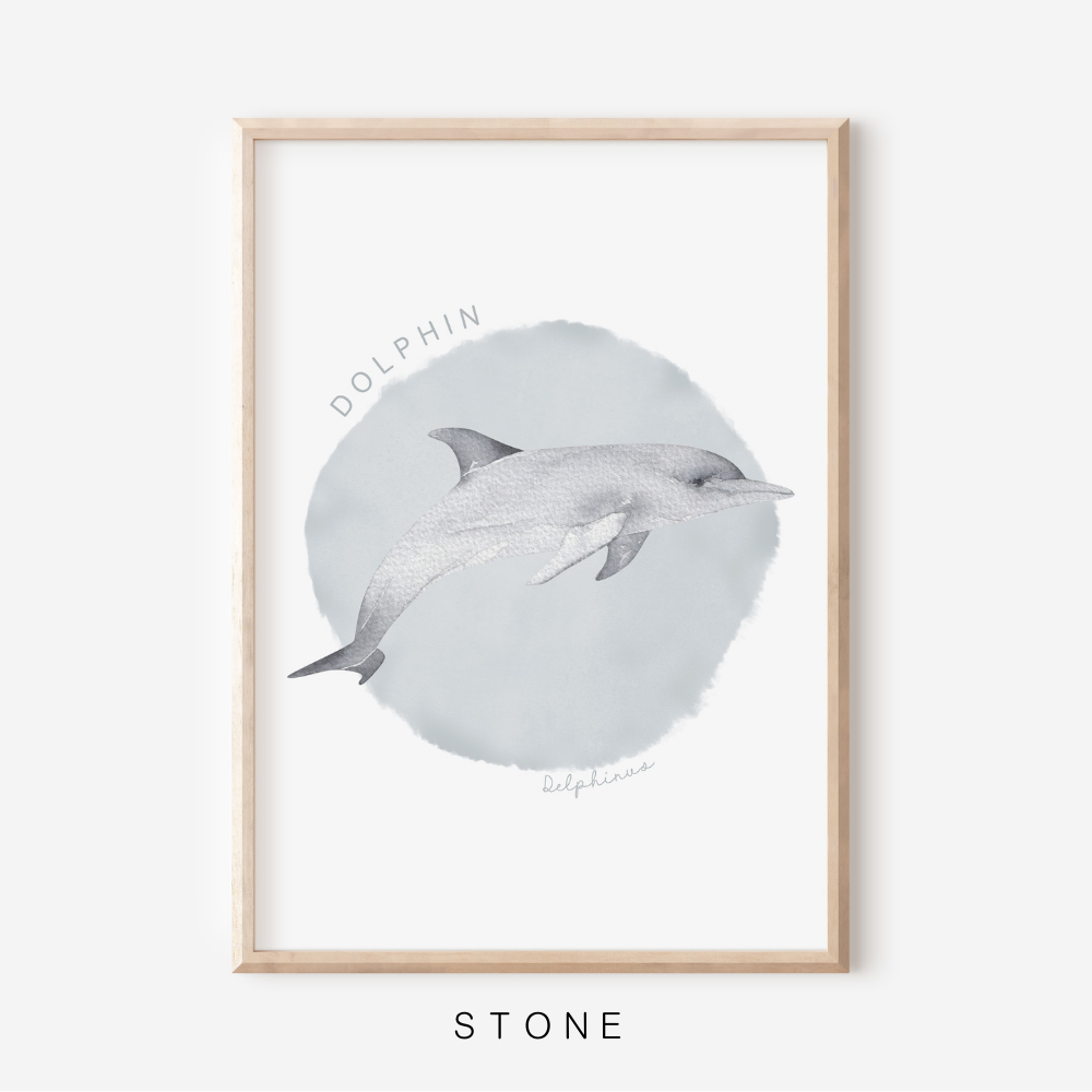 Ocean Life - Dolphin | Art Print