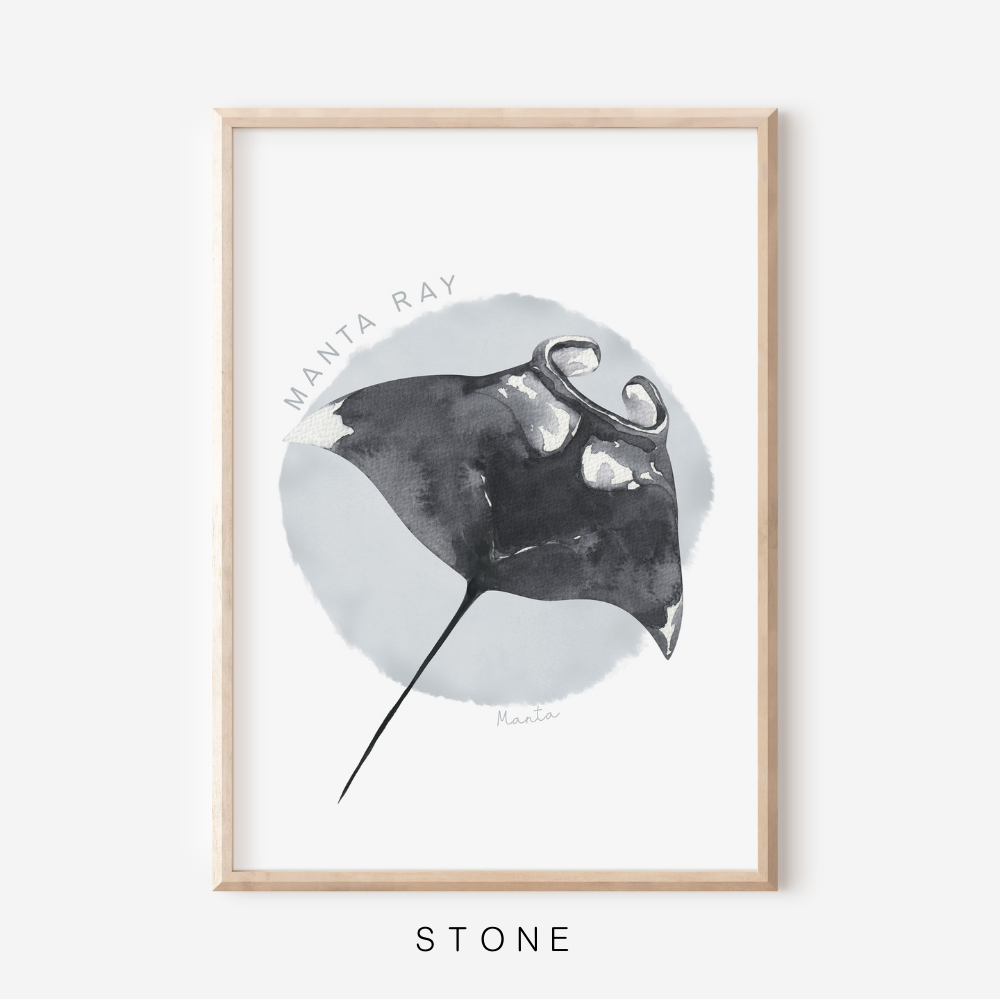 Ocean Life - Manta Ray | Art Print