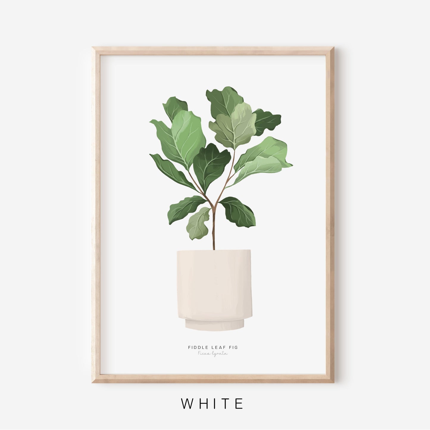 Houseplants - Fiddle Leaf Fig | Art Print
