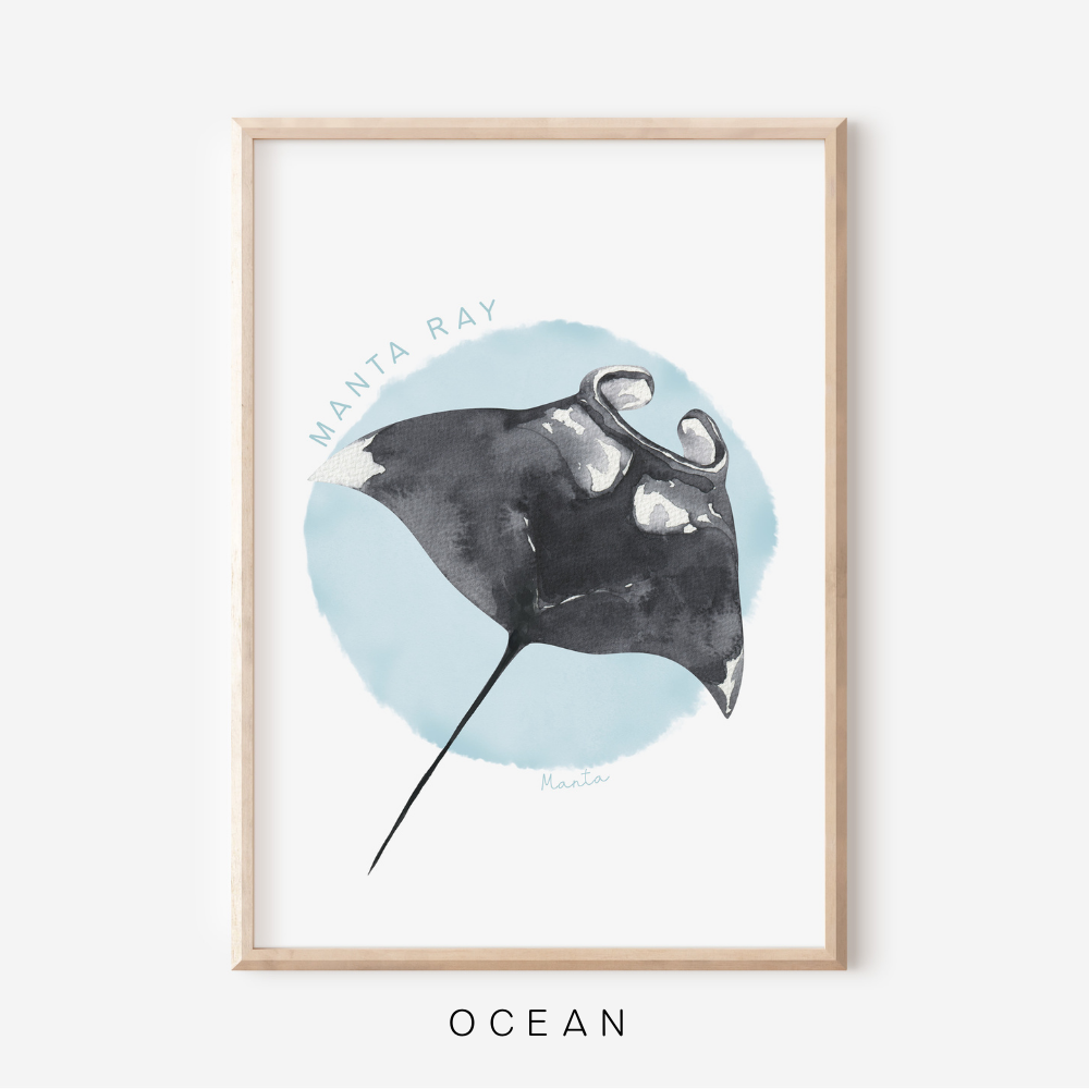 Ocean Life - Manta Ray | Art Print
