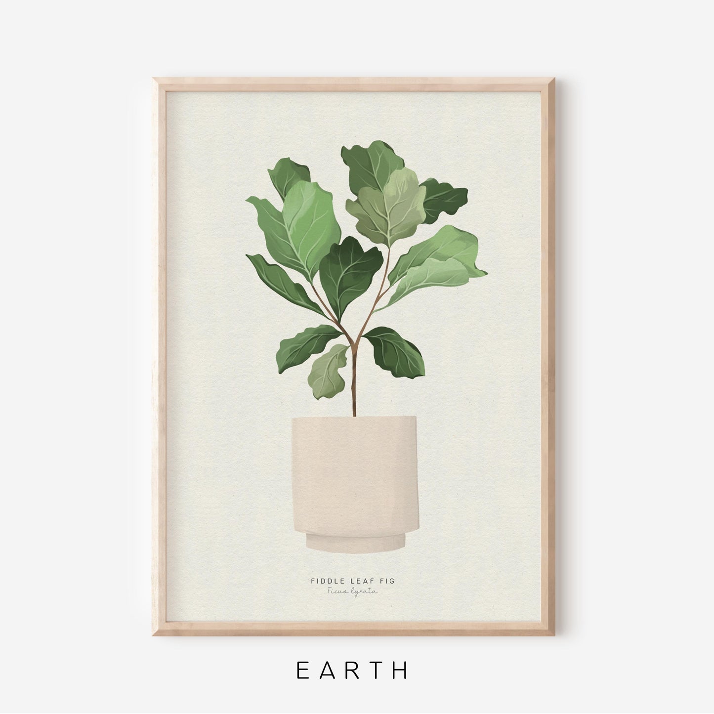 Houseplants - Fiddle Leaf Fig | Art Print