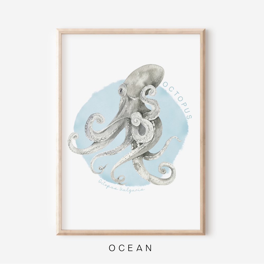 Ocean Life - Octopus | Art Print