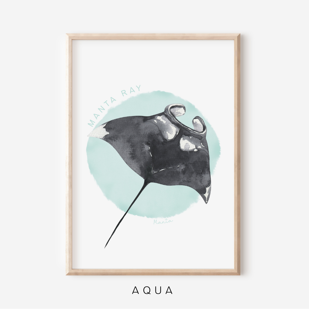 Ocean Life - Manta Ray | Art Print