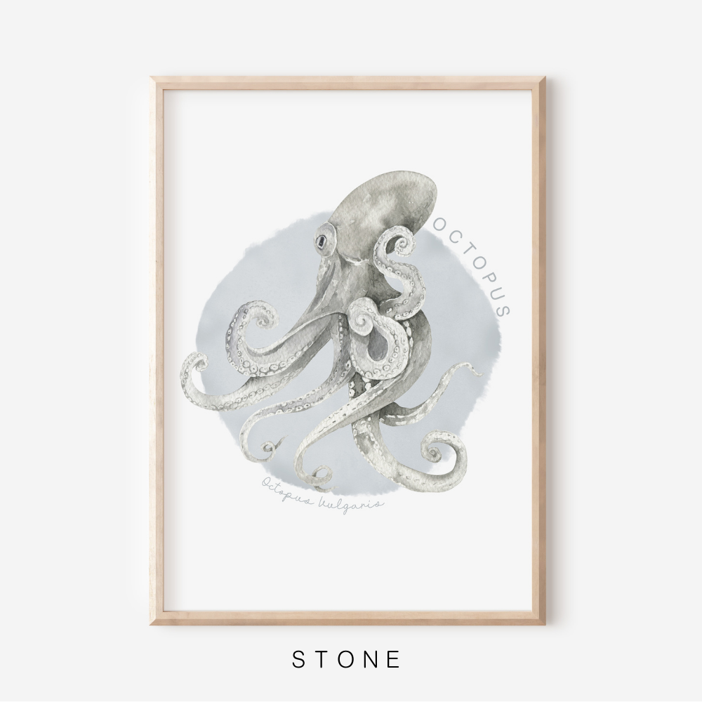 Ocean Life - Octopus | Art Print